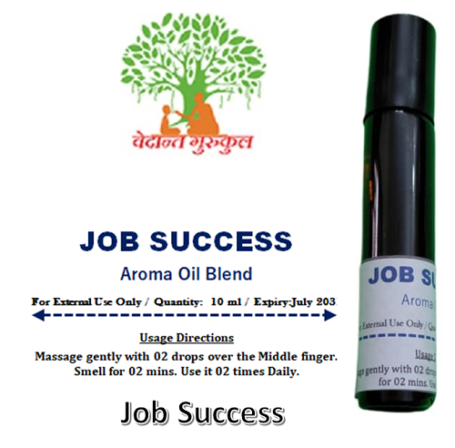 Job Success thumbnail 1