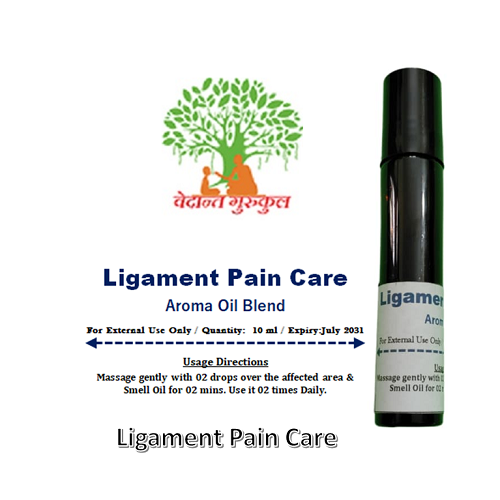 Ligament Pain Care