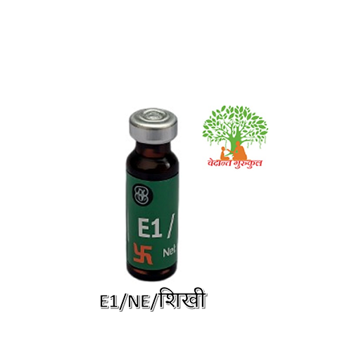 E1/NE/शिखी thumbnail 1