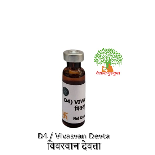 D4 / Vivasvan Devta / विवस्वान देवता thumbnail 1