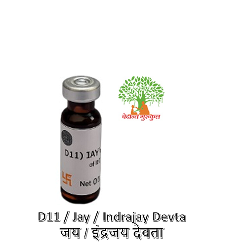 D11 / Jay / Indrajay Devta / जय / इंद्रजय देवता thumbnail 1