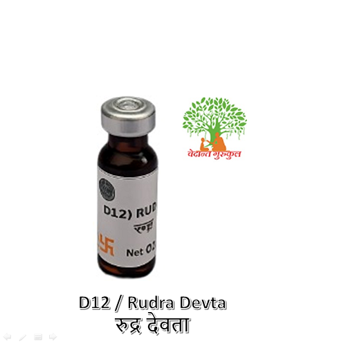 D12 / Rudra Devta / रुद्र देवता thumbnail 1
