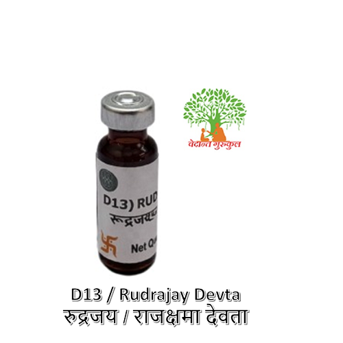 D13 / Rudrajay Devta /रुद्रजय / राजक्षमा देवता thumbnail 1