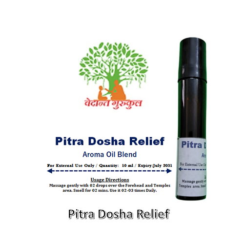 Pitra Dosha Relief thumbnail 1