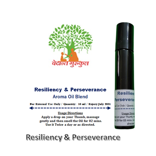 Resiliency & Perseverance thumbnail 1